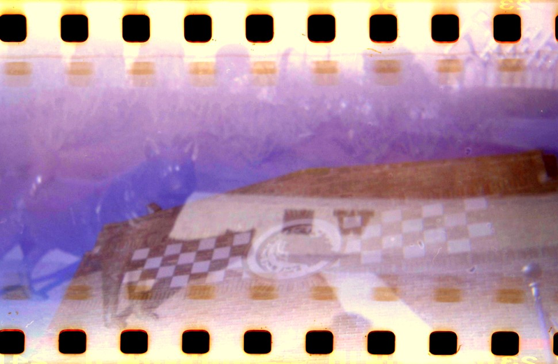 Illustration for article titled Shooting Challenge: Double Exposure, Gallery 2